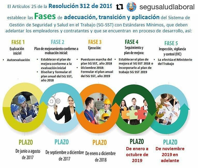 syst-2018-resol-312-_2019-1 CONSULTORIA HSEQ
